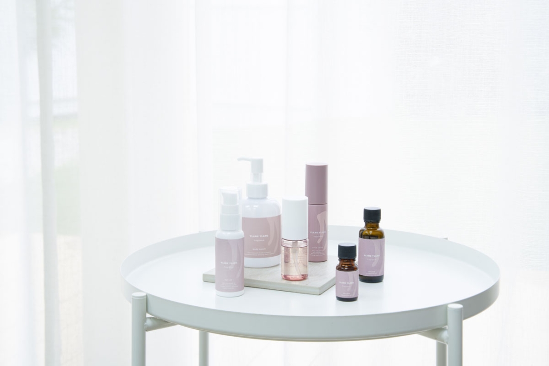 イランイラン❣ Amazon.co.jp: 花芽付き《イランイランの木 A品株 7号大株